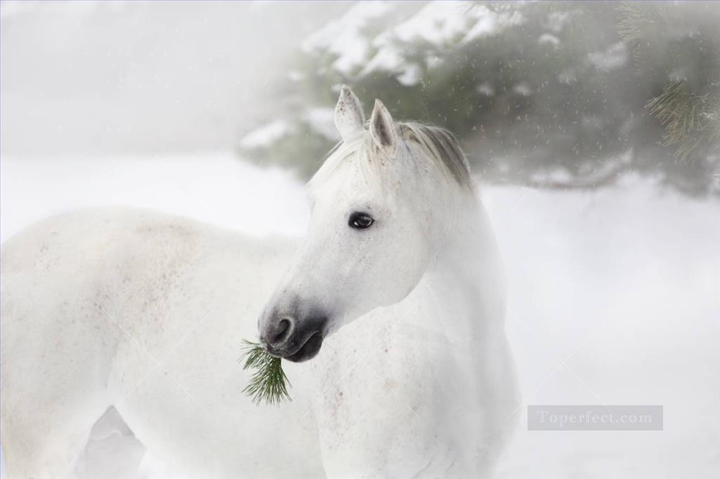 caballo blanco y negro sobre los pinos y la nieve Pintura al óleo
